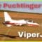 ROY PUCHTINGER VERY FAST WITH A 13 YEAR OLD VIPERJET PROTOTYPE FROM SKYGATE COLLECTION | NICE FLIGHT
