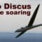 Duo Discus, scale RC glider, slope soaring, 2017